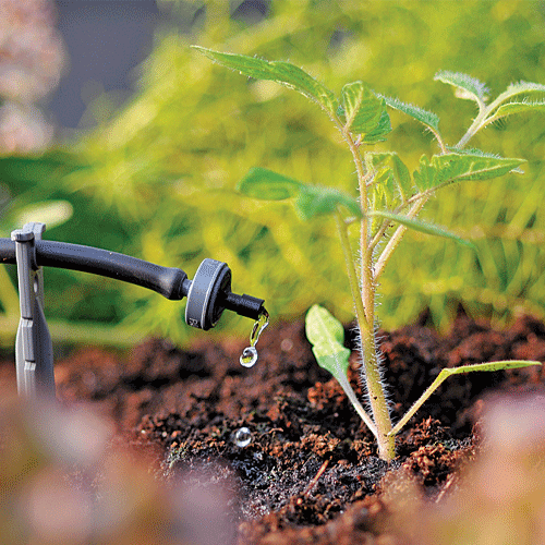 Micro-irrigation